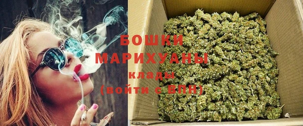 стаф Абаза