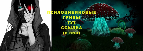 стаф Абаза