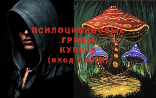 стаф Абаза