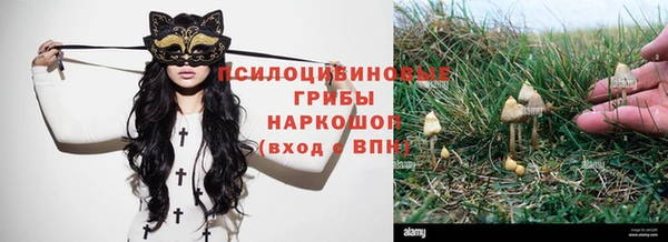 2c-b Абдулино