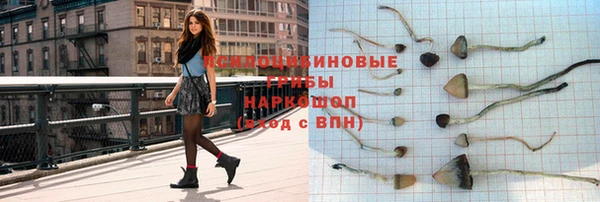 стаф Абаза