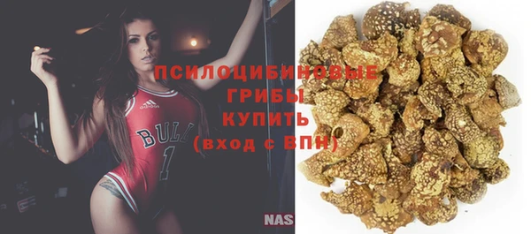 твердый Абинск