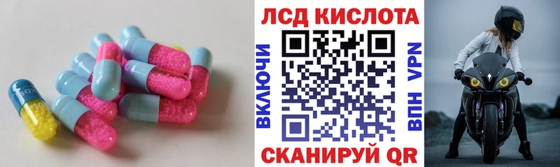 наркошоп  Щёкино  omg ССЫЛКА  ЛСД экстази ecstasy 