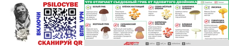 Псилоцибиновые грибы Cubensis  Щёкино 